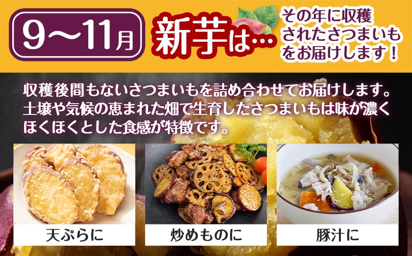 【新芋】芋名人が認めるさつまいも『洗い済み　紅はるか』5.2kg MSサイズ ※9月～11月頃順次発送_LE-L704-N