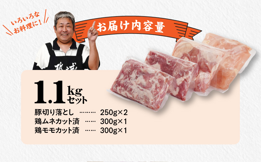 使いやすさ抜群!宮崎県産鶏肉(カット済)&豚肉切り落とし1.1kgセット≪みやこんじょ快速便≫_LF-8401-R