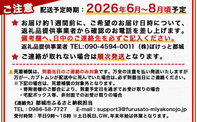 【先行受付☆2026年6月以降お届け】カブトムシ(飼育セット付き) ※限定100セット※_LG-3311