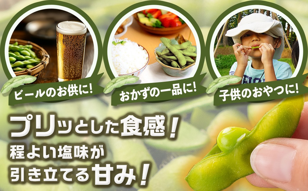 【父の日】≪小分けパック≫南国育ちのおいしい枝豆2kg≪6月18日～21日お届け≫_LG-3322-FG