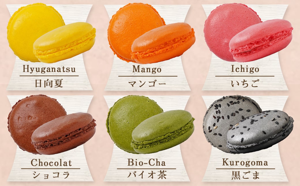 静マカロン缶☆選べる8個セット_LG-C202