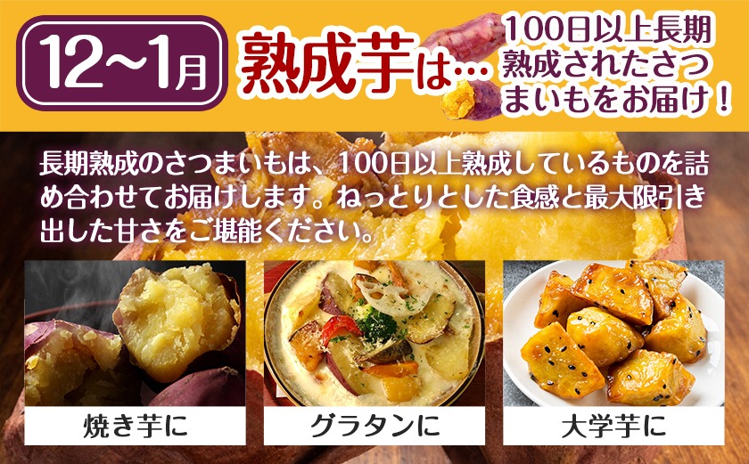 【熟成芋】芋名人が認めるさつまいも『洗い済み　紅はるか』8.2kg MS～2Lミックス ※12月～1月頃順次発送_LG-L701-J