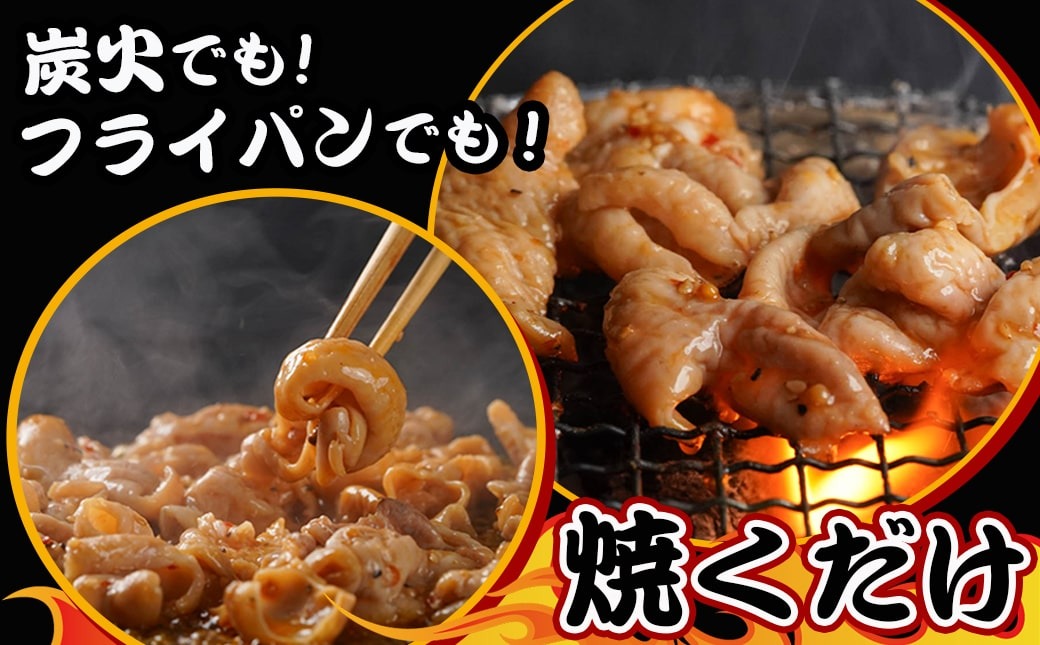 【父の日】やみつき豚ホルモン!3kg!真空小分けパック!≪6月18日～21日お届け≫_LG8-3303-FG