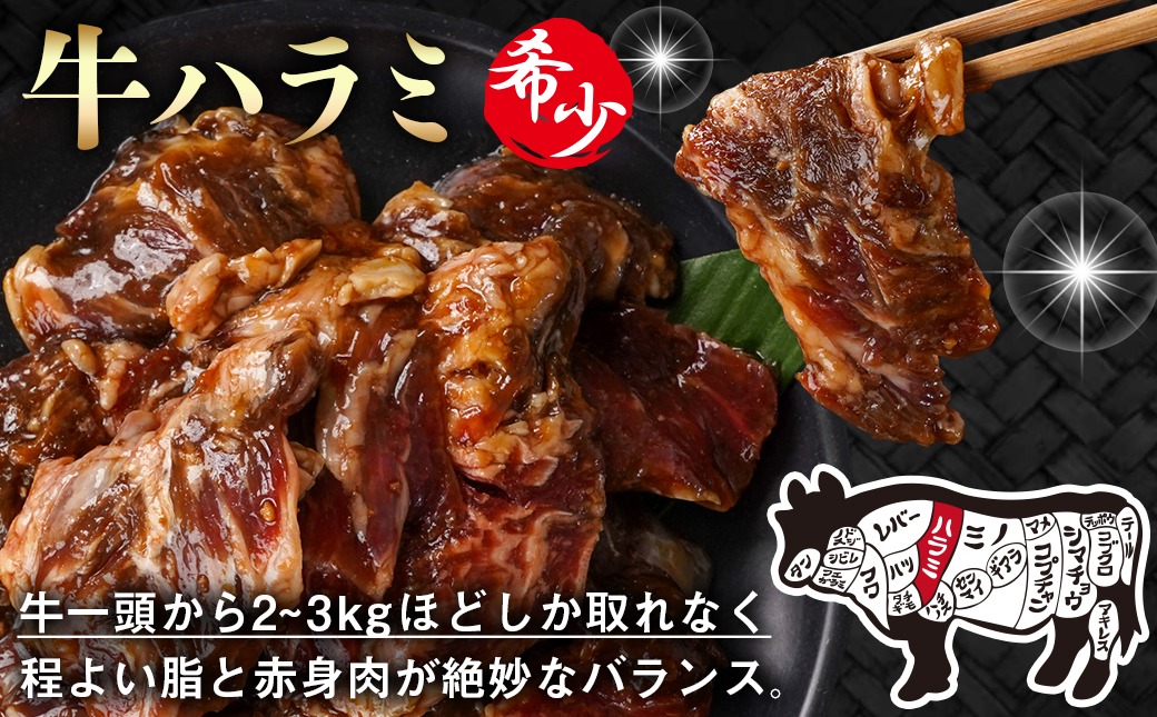 牛ハラミ タレ漬け900g≪みやこんじょ特急便≫_LG8-3308-Q_【肉 牛肉 焼き肉 焼肉 人気 おすすめ】
