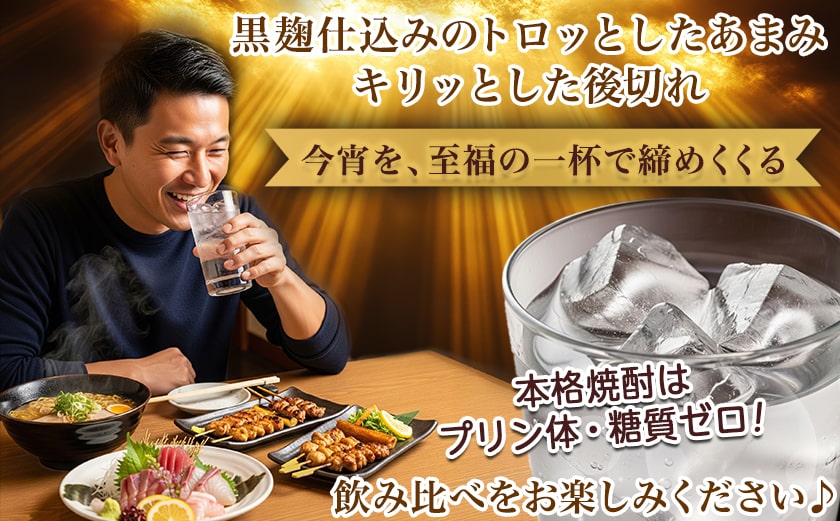 【ちび霧セット】黒霧島・黒霧島EX 25度900mlパック各1本≪みやこんじょ特急便≫_LG8-M801