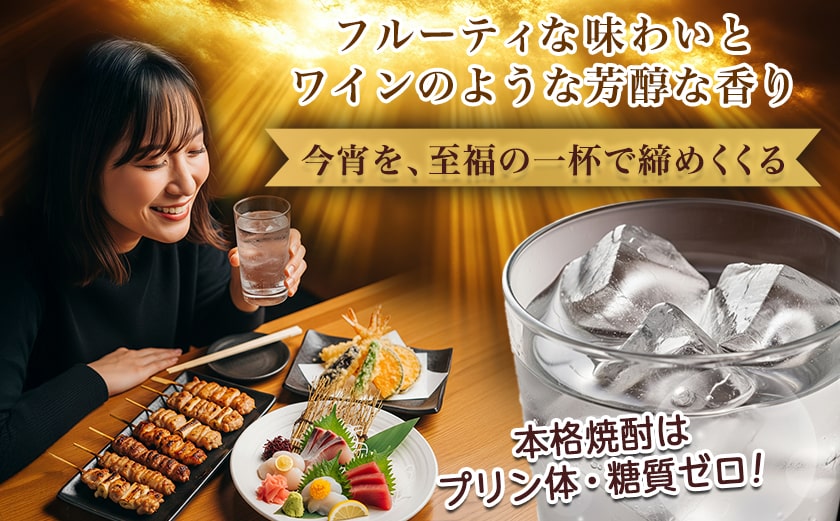 【ちび霧セット】赤霧島25度900mlパック×2本≪みやこんじょ特急便≫_LG8-M802