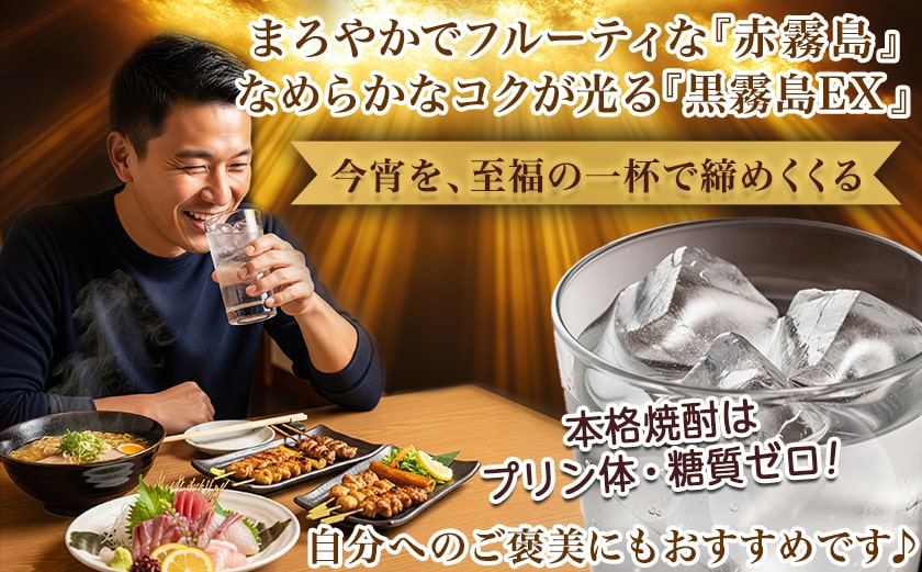 【ちび霧セット】赤霧島・黒霧島EX 25度900mlパック各1本≪みやこんじょ特急便≫_LG8-M805