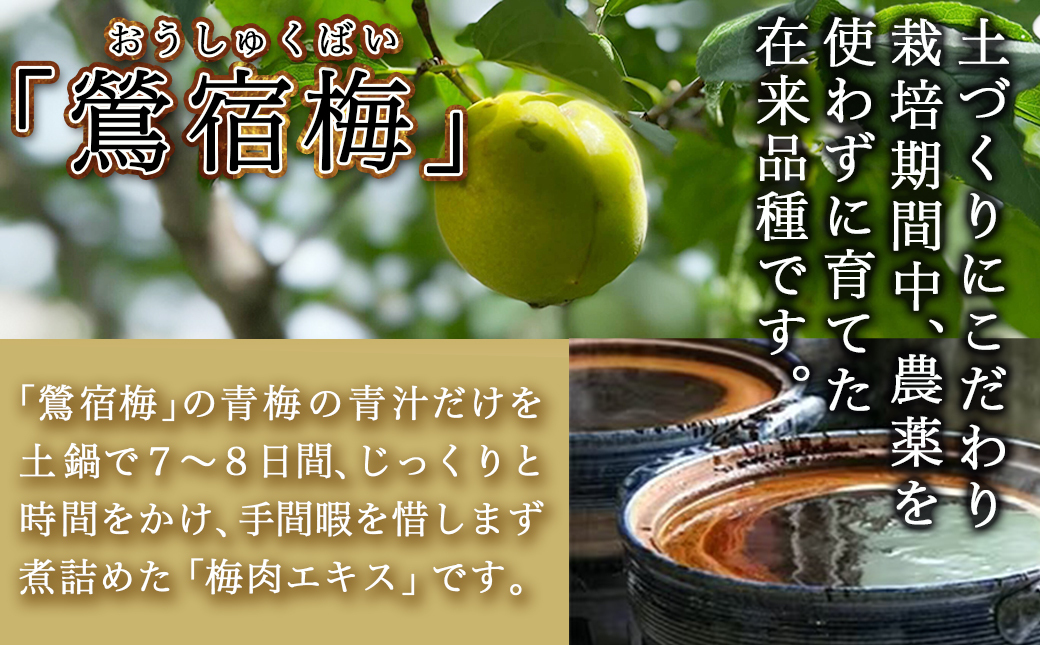 【母の日】徳重おばあちゃんが受け継いだ梅肉エキス115g≪5月7日～10日お届け≫_MA-4904-MG