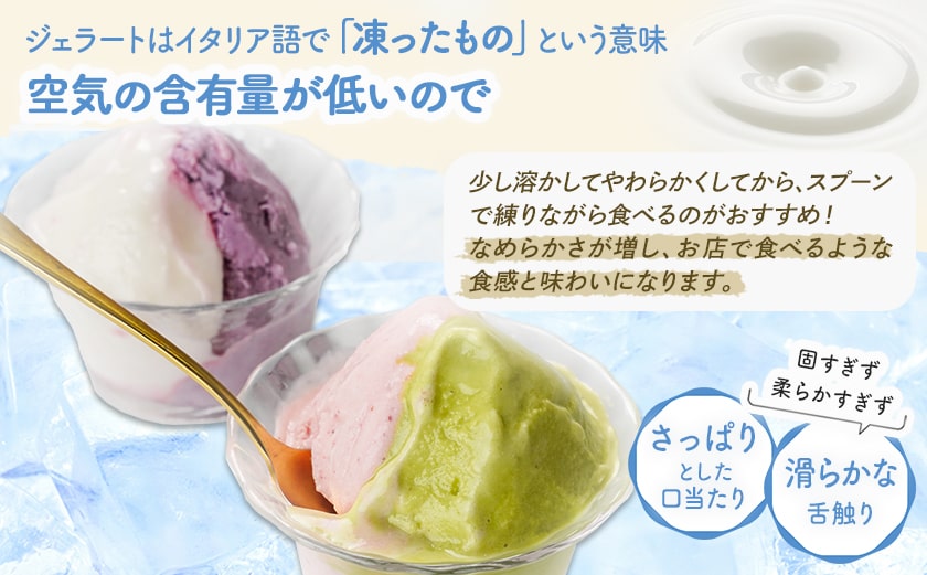 ジェラート専門店「ボンチーノ」7種12個セット_MJ-1565