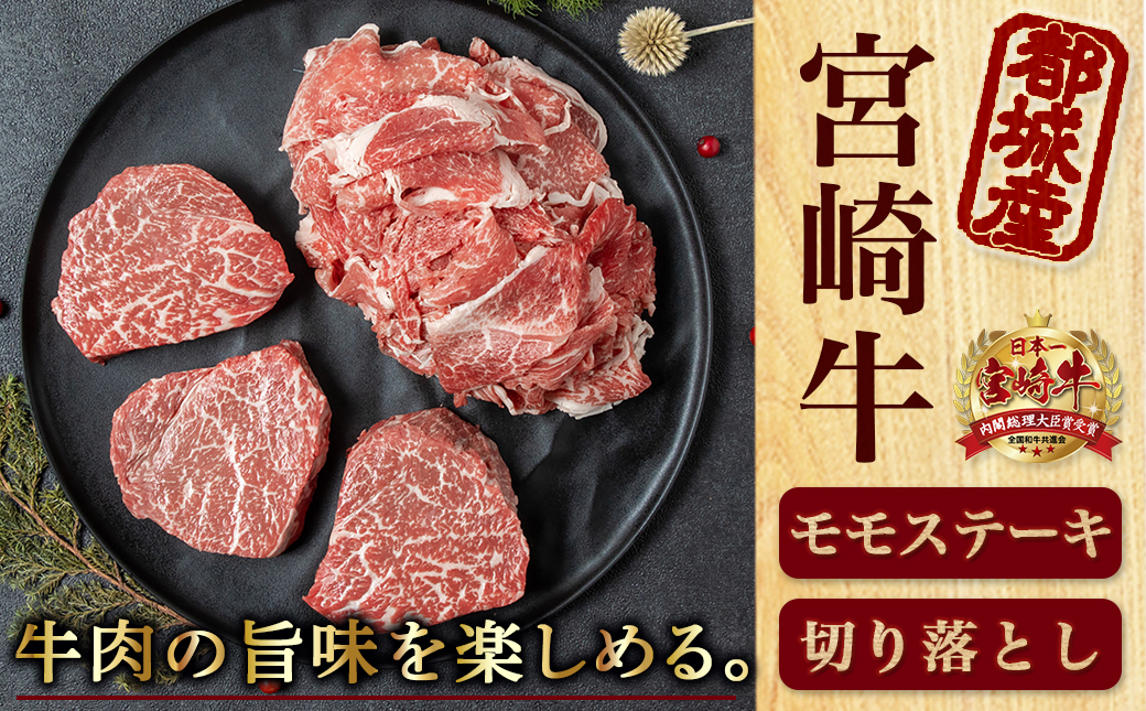 宮崎牛モモステーキ・切り落とし600gセット_MJ-2510_【肉 牛肉 切り落とし 焼き肉 焼肉  ステーキスライス すき焼き しゃぶしゃぶ 人気 おすすめ 国産】