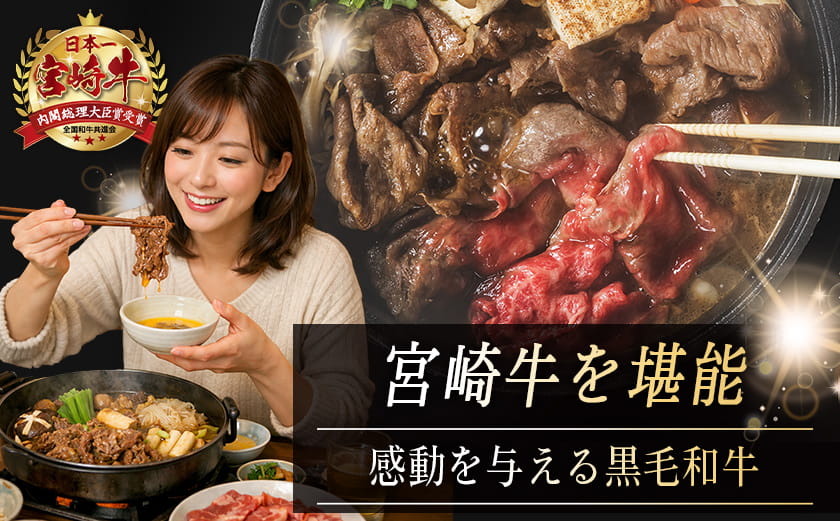 宮崎牛盛り合わせセット_MJ-31-011