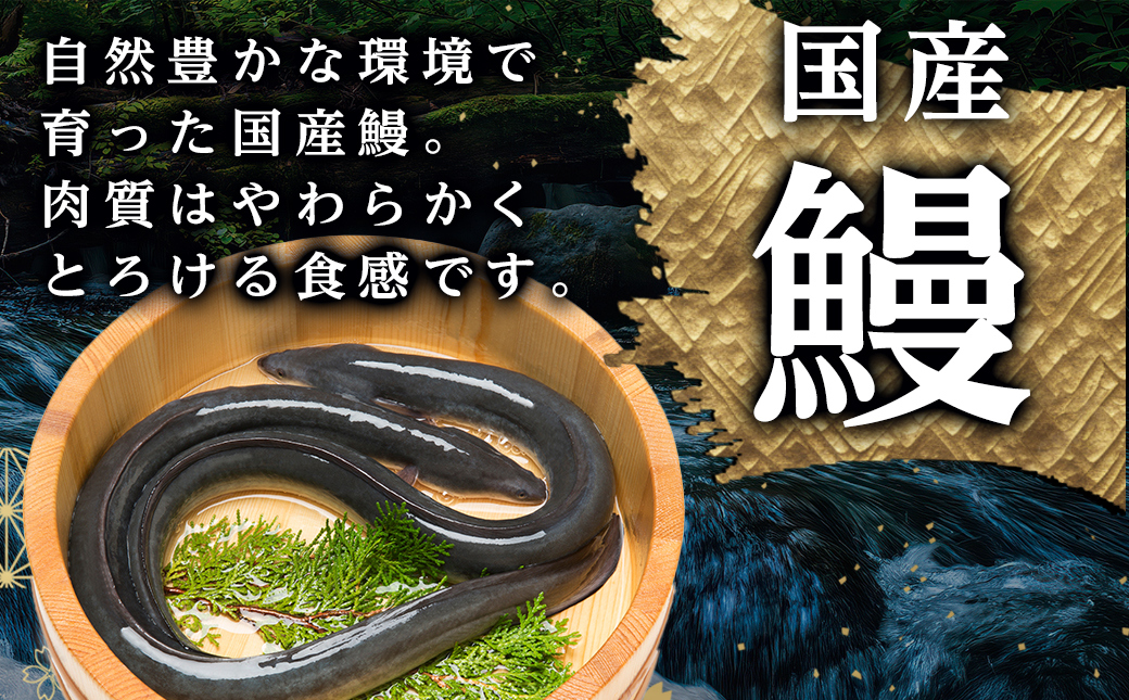 【お歳暮】職人手焼きの本格うなぎ蒲焼き2尾≪11月17日～12月21日お届け≫_MJ-3305-WG