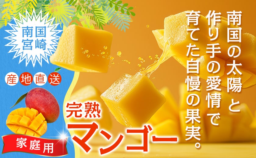 【先行受付!】宮崎完熟マンゴー家庭用1kg以上(都城産)_MJ-3311_【果物 先行予約 フルーツ】
