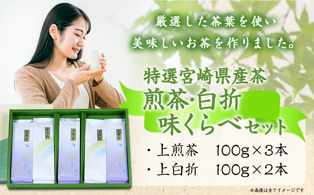 ≪特選茶≫煎茶・白折味くらべセット≪みやこんじょ特急便≫_MJ-4804-Q