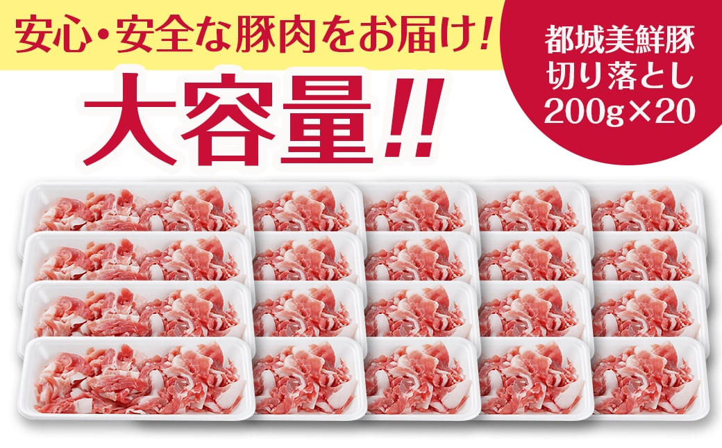 都城美鮮豚切り落とし4kgセット(200g×20パック)_MJ-5402