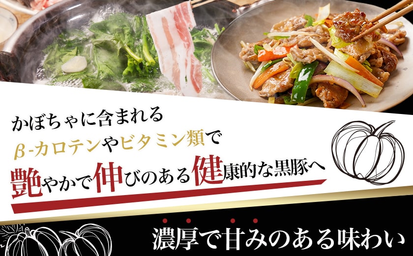 「黒豚とんぷきん」てげてげセット2.2kg_MJ-5906