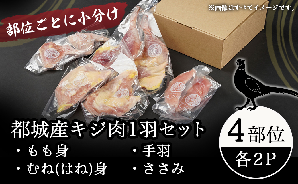 【たしろ屋】都城産キジ肉1羽セット_MJ-9910
