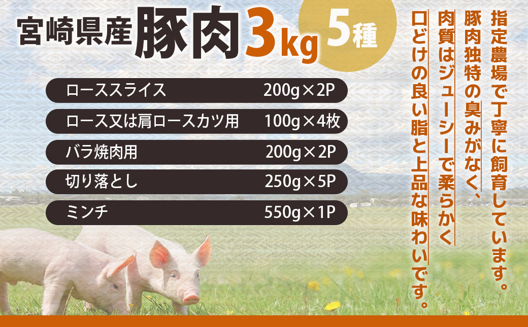 宮崎県産豚肉3kgセット_MJ-M601