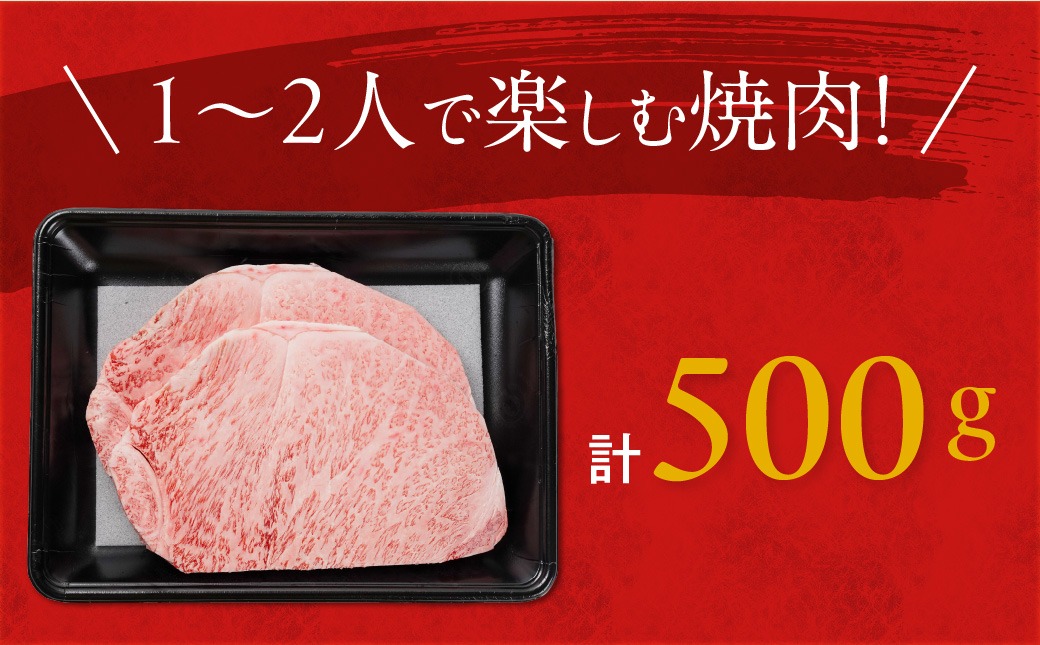 畜産農家応援! 宮崎牛ロースステーキ2枚 計500g_MJ-N201