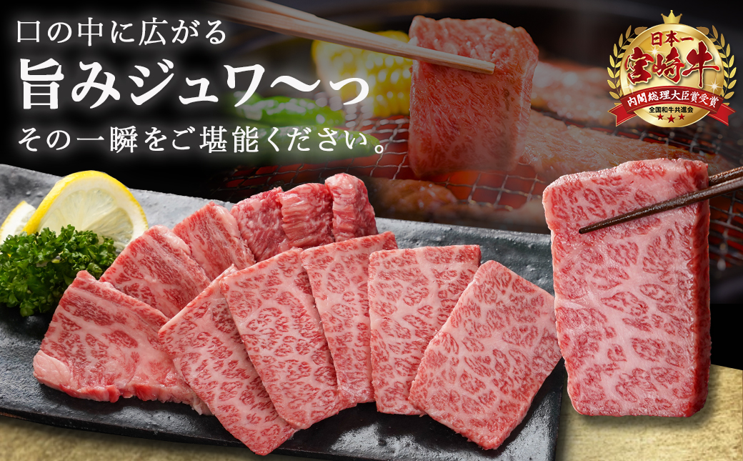 宮崎牛肩ロース焼肉用500g_MJ-N302_【肉 牛肉 焼き肉 焼肉 人気 おすすめ 国産 宮崎県産】