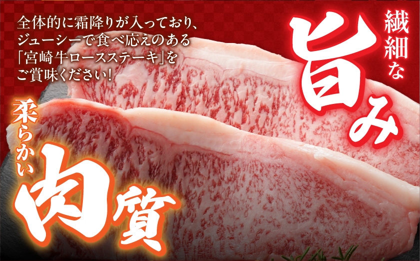 宮崎牛ロースステーキ2枚(合計400g)_MJ-N303