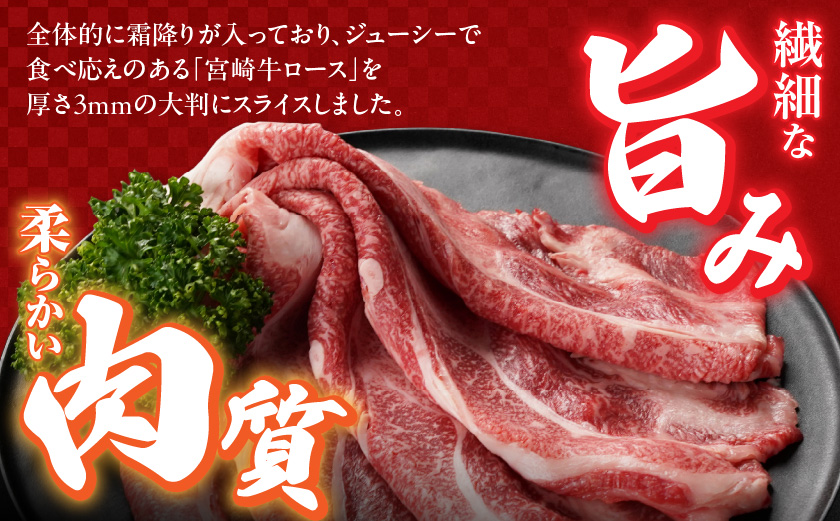 宮崎牛ローススライス400g≪大判サイズ≫_MJ-N304
