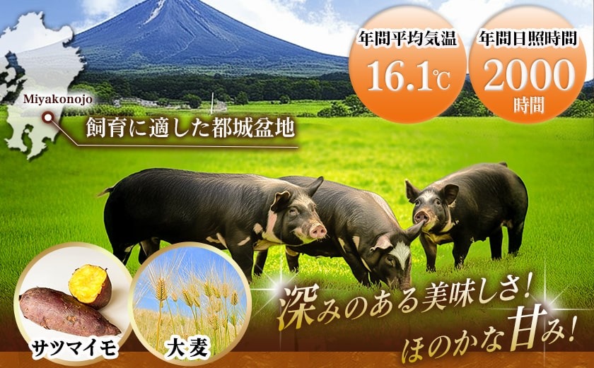 黒豚味噌漬け100g×9枚(真空)_MJ-N407