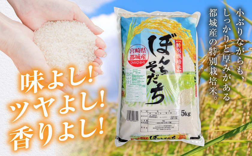 都城産ひのひかり特別栽培米「ぼんちそだち」5kg(5kg×1袋)_MJ-N503