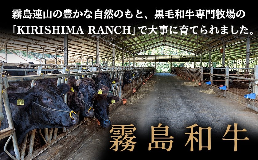 【福袋★2026】【霧島和牛】特選ビーフジャーキー(10パック)_MK-E901-F2026