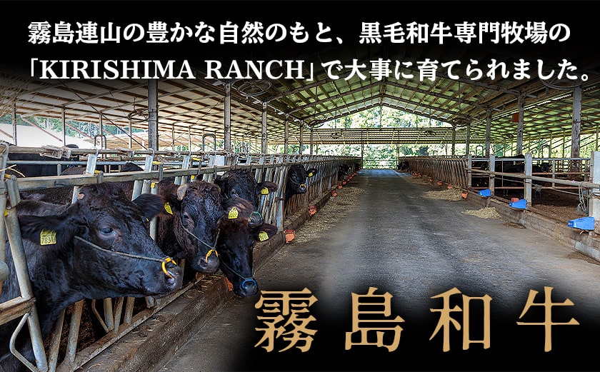 【霧島和牛】特選ビーフジャーキー(10パック)_MK-E901