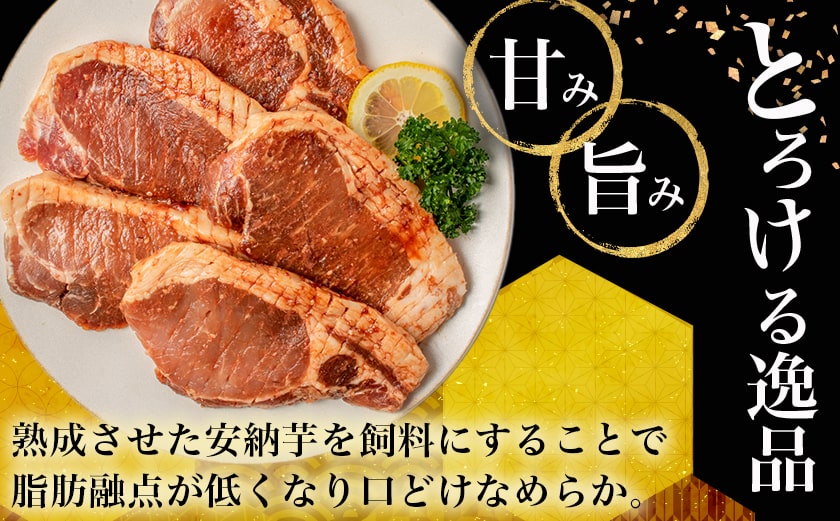 安納黒豚味噌漬けセット500g_MO-9502