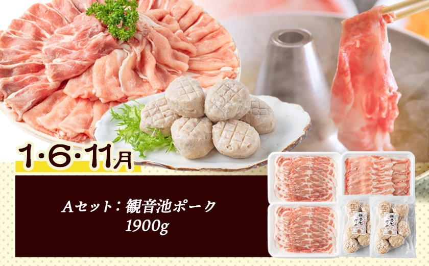 豚・鶏5種類の定期便(12ヶ月)_T100（12）-1501