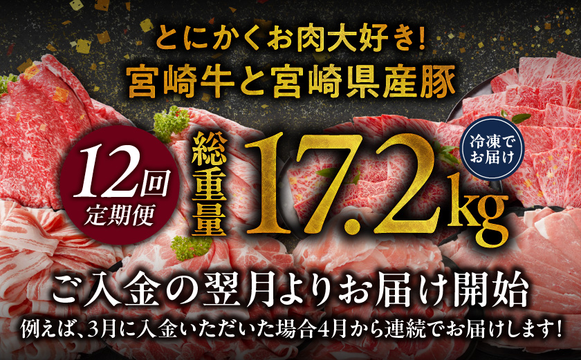 ≪12回連続お届け≫とにかくお肉大好き!宮崎牛と宮崎県産豚定期便M(総重量17.2kg)_T192-12-N202