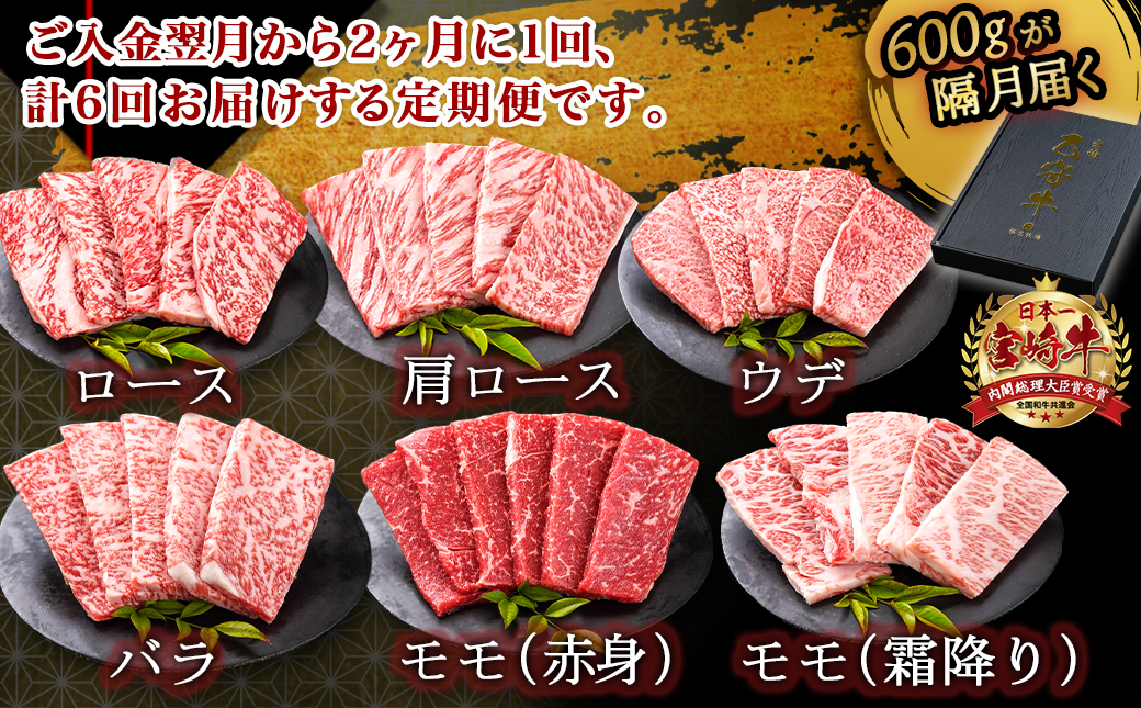 ≪限定200セット≫隔月6回お届け!【宮崎牛A5】焼肉6種盛り(乙守牛）_T192-6-6501_【肉 牛肉 焼き肉 焼肉 人気 おすすめ 国産 宮崎県産】