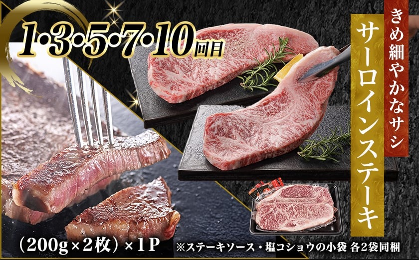 まるゆうの宮崎牛定期便 (10回)_T227-10-N401