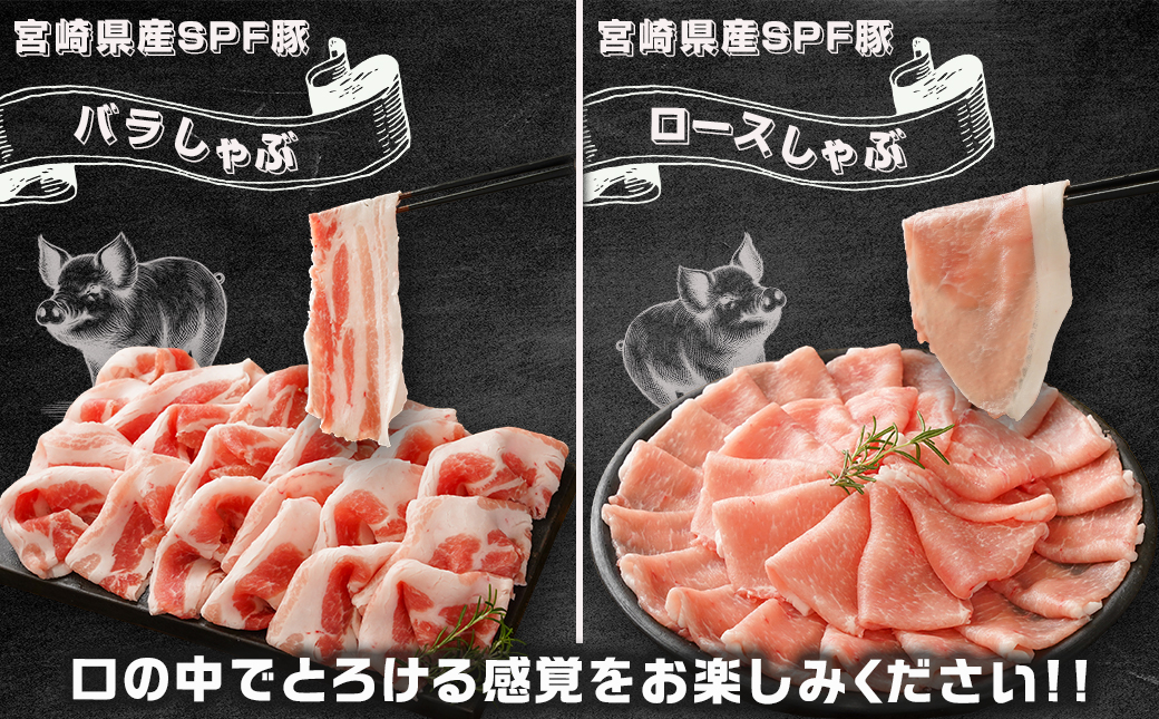 ≪隔月3回お届け≫「宮崎SPF豚」しゃぶ鍋3種盛り2.3kgセット_T45-3-K903