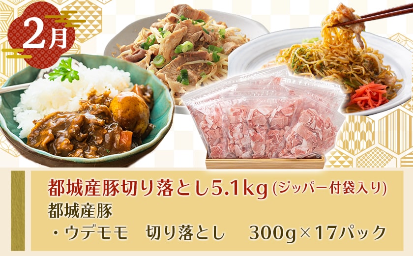 【セレクト定期便】総重量12.8kg!豚ざんまい定期便(3ヶ月)2月・4月・6月お届け≪2026年お届け≫_T53-MY01