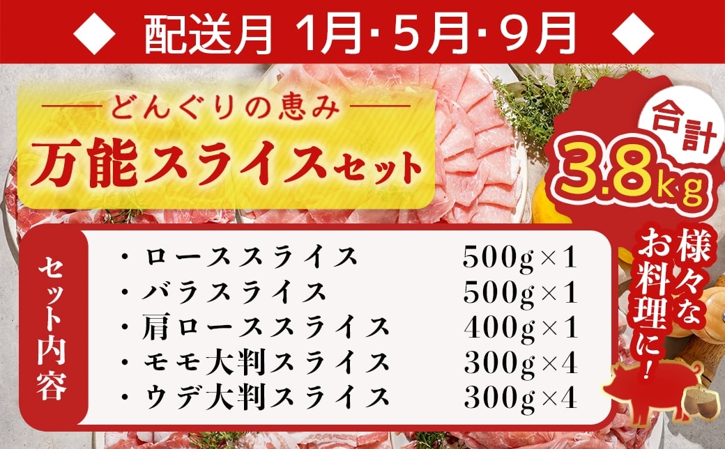 「どんぐりの恵み豚」エンジョイ定期便(10ヶ月)_T80(10)-1102
