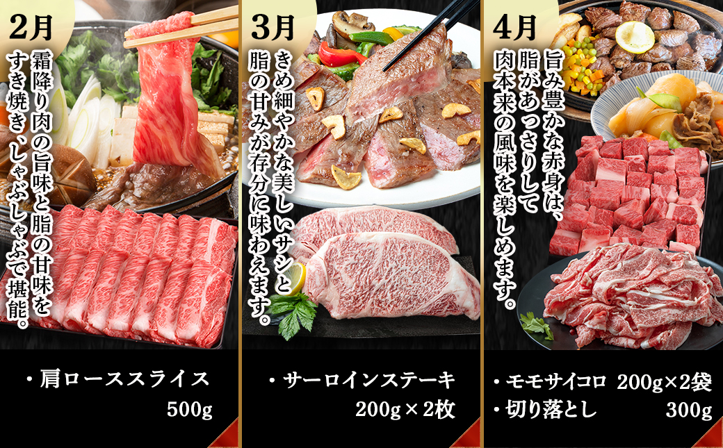 宮崎牛定期便(10回お届け) Bコース_T80(10)-2502