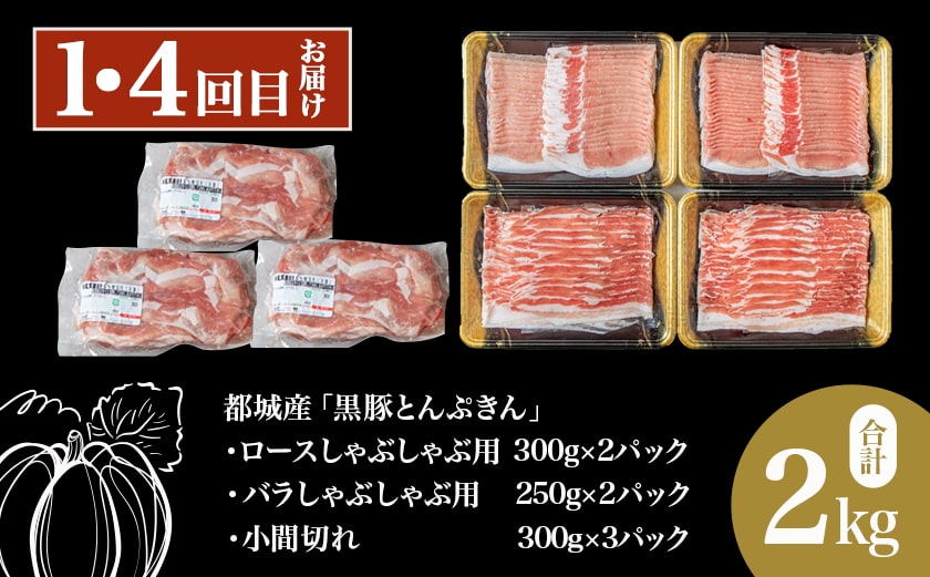 【6回お届け!】「黒豚とんぷきん」定期便≪総重量16kg≫_T90-6-5901