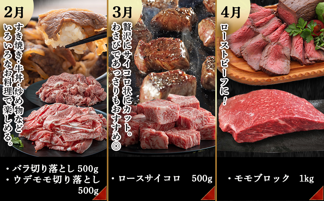 宮崎牛定期便(10回お届け) Cコース_TAC10-2501