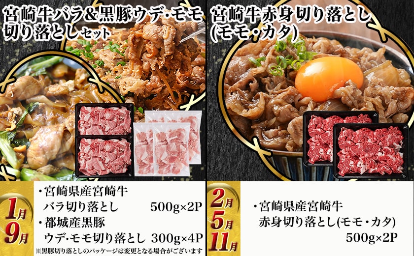 宮崎牛&黒豚 まるゆうバラエティ定期便(12ヶ月)_TAC12-N401