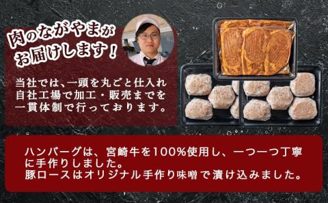 宮崎牛ハンバーグ・豚ロース味噌漬けBセット_MJ-2513
