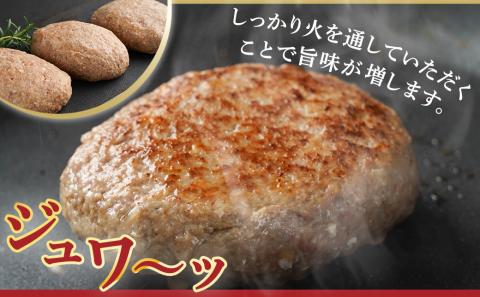 宮崎牛100%ハンバーグ150g×8個_MJ-2620