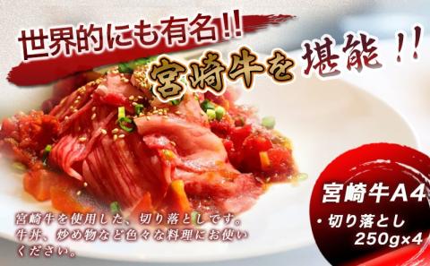 宮崎牛切り落とし1kg_MJ-8908