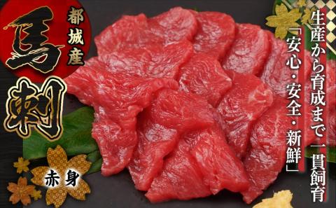 都城産馬赤身ブロック300g_AO-0102