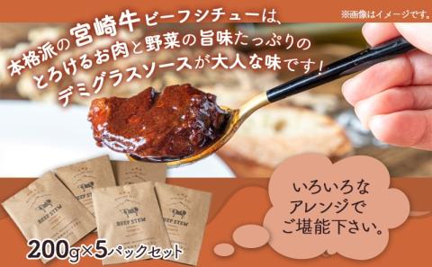 とろける宮崎牛ビーフシチュー5パックセット_MJ-H301