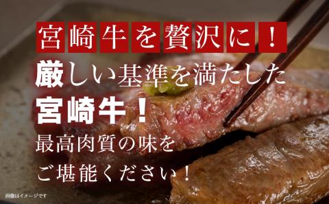 【年内お届け】宮崎牛サーロインステーキ200g×5枚≪2025年12月15日～31日お届け≫_AE-8904-HNY