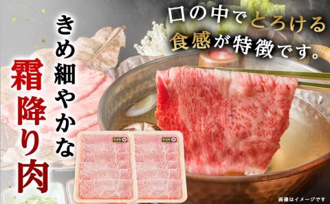 宮崎牛霜降りスライス500g×赤身牛すきスライス500gセット_AE-I502