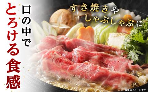 宮崎牛モモバラ切り落とし800g_MJ-I504